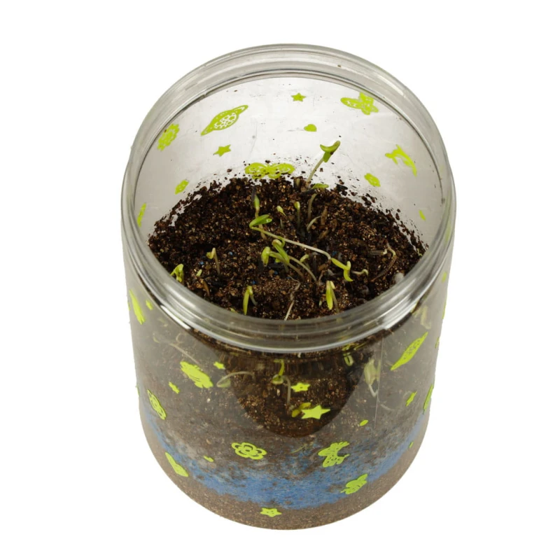 Hodowla dinozaurów terrarium LED 10x10x16 cm КІК SP – edukacyjny